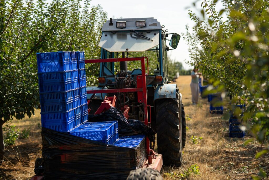 Traktor mit Erntekisten zwischen den Obstbäumen auf dem Lindenhof